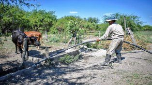 Esta asistencia es para pequeños productores hortícolas, ganadera bovina, ovina y caprina