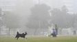 La niebla no afloja en Rosario y este sábado pisó fuerte a la mañana