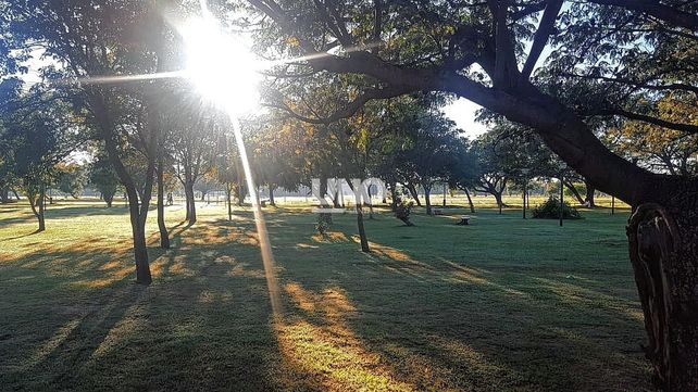 Parque Federal. Miles de santafesinos utilizan a diario el espacio verde para realizar diversas actividades; desde la Asociación vecinal piden más seguridad.&nbsp;