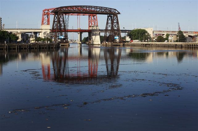 Plantan miles de árboles autóctonos en la ribera del Riachuelo