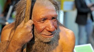 El ADN del Neandertal puede provocar coronavirus más grave