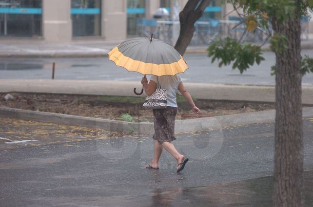 Este jueves seguirá la neblina y también pronostican lluvias en Santa Fe