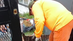 Difundieron medidas para evitar contagios de dengue.