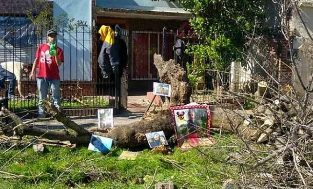 Una nena de dos años murió aplastada por la rama de un añoso árbol