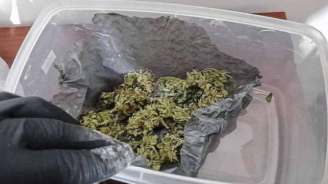 El muchacho se entregó tras mandar una encomienda con cocaína a Reconquista y en su casa hallaron drogas El muchacho se entregó tras mandar una encomienda con cocaína a Reconquista y en su casa hallaron drogas