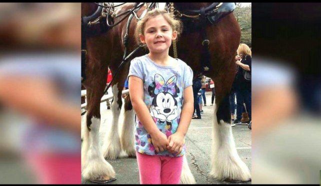 Viral: el caballo posando para la foto