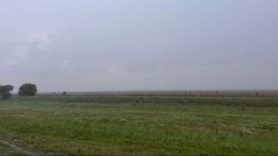 La actividad agrícola retomó su ritmo en el centro norte de Santa Fe tras la mejora de las condiciones climáticas