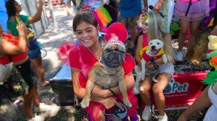 El bloco del Carnaval de Río de Janeiro donde las estrellas son los perros