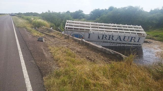 Murió un chofer al caer su camión en un aliviador de ruta 6