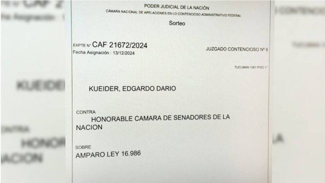Edgardo Kueider pidió que lo restituyan como senador por supuestas irregularidades en la sesión