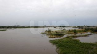 La crecida del río Salado es “ordinaria” y no sería crítica