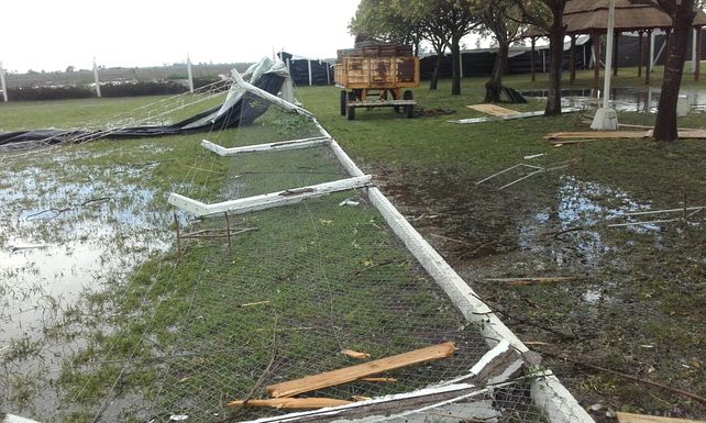 “No he visto, ni recuerdo, una tormenta similar”