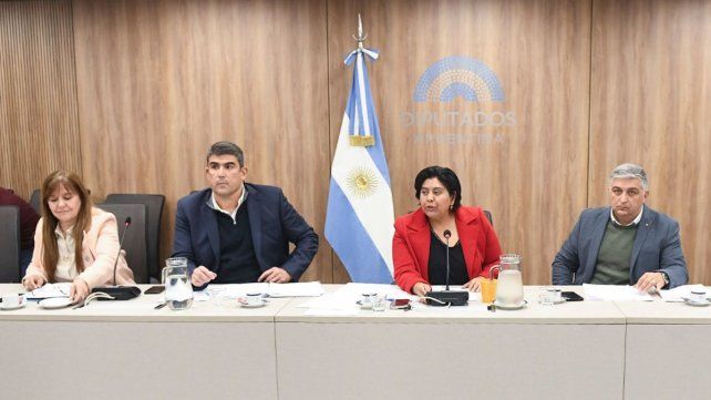 Médicos del Garrahan expondrán en la Comisión de Familias