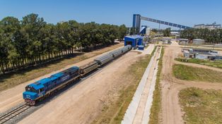 Un consorcio de cerealeras competirá por la concesión del Belgrano Cargas.