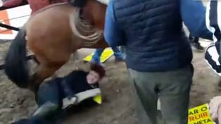 Los animales no tienen voz, ellos quieren vivir y debemos ser su voz