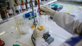 Temor en Europa por una epidemia de cáncer en la próxima década