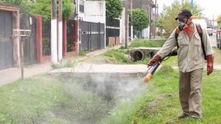 Continúan las tareas de fumigación en toda la ciudad
