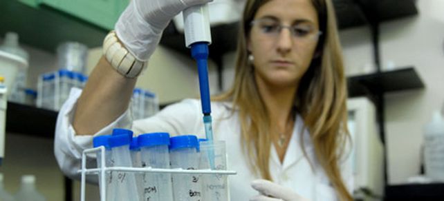 La bioeconomía busca su lugar como modelo industrial en el país.