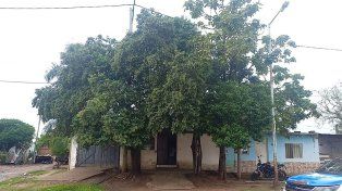 Un adolescente de 14 años está en terapia intensiva del hospital Delicia Masvernat de Concordia tras caer de un árbol