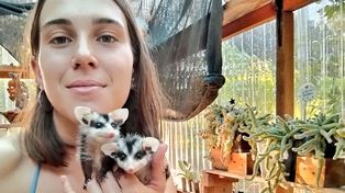Agustina Volpato, la joven de San Jerónimo Norte que rescató una zarigüeya y enterneció a todo Twitter