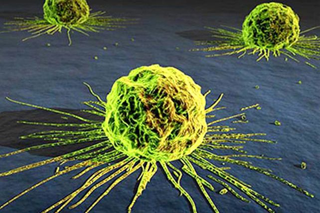 Científicos encuentran una respuesta contra el cáncer