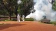 Repunta la presencia de mosquitos, aunque no son los del dengue