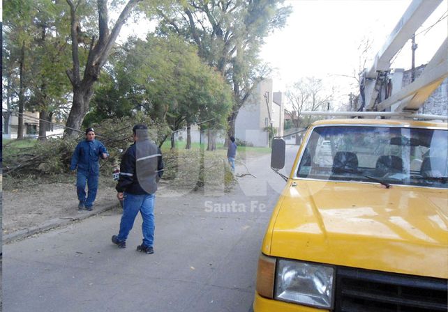Trabajo. Una cuadrilla de la Municipalidad se acercó la semana pasada a retirar las ramas caídas.