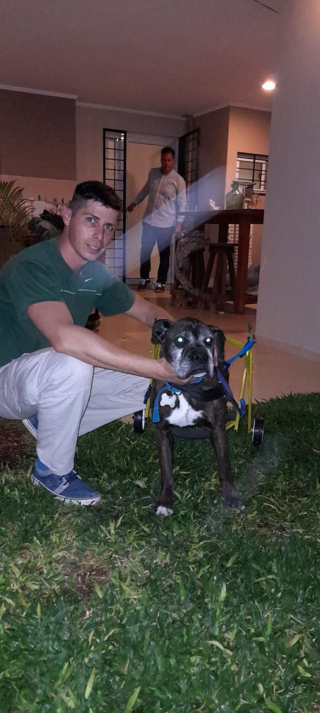 Policía paranaense confecciona carritos para mascotas con problemas de movilidad