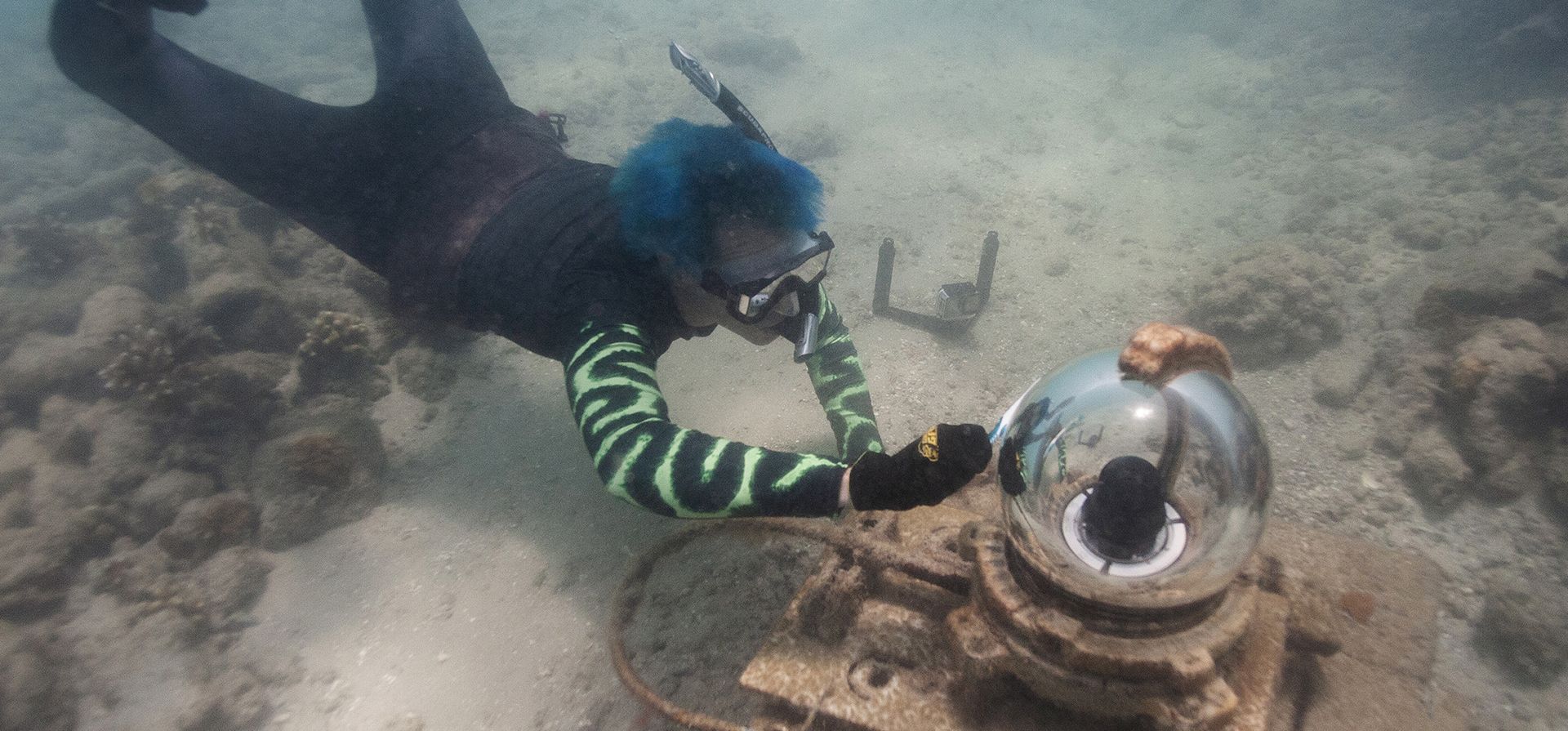 El biólogo marino Colin Foord usa un cepillo de dientes para limpiar el vidrio de la Coral City Camera a lo largo de una pared de roca, en PortMiami en Miami. Foord y J.D. McKay han estado en una misión de 15 años para crear conciencia sobre la muerte de los arrecifes de coral con una compañía que presenta el problema a través de la ciencia y el arte.
