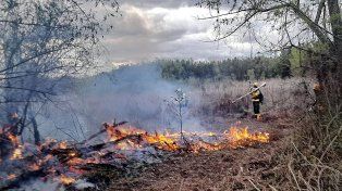 Incendio en el Delta: tres apicultores condenados por estrago doloso.