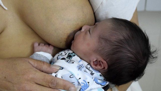 En la Semana Mundial de la Lactancia materna el Ministerio de Salud recuerda que contiene más de 370 nutrientes que protegen el sistema inmune de bebés