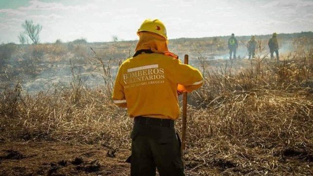 Senadores piden cobertura médica urgente para 85 bomberos voluntarios