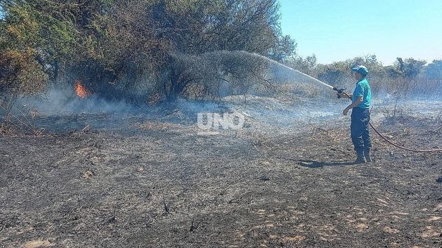 Grandes esfuerzos para combatir el fuego que se desató a la vera de la ruta nacional 168.