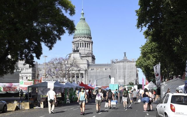 Aborto legal: verdes y celestes se manifiestan frente al Congreso