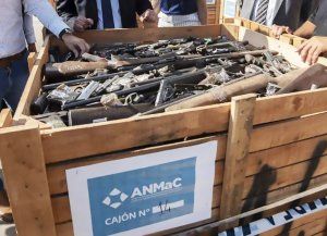 Armas de fuego: analizan controversial proyecto