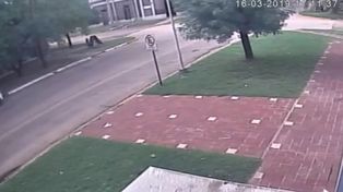 Se conocieron las imágenes que desmienten la historia del changarín