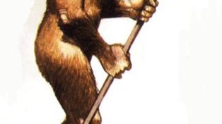 Rara similitud del homo erectus con el hombre actual