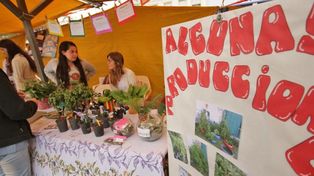 Las huertas de las escuelas van a la Feria de las 4 Vías