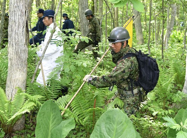 Peligroso. En el bosque donde se perdió el nene hay muchos osos.&nbsp;