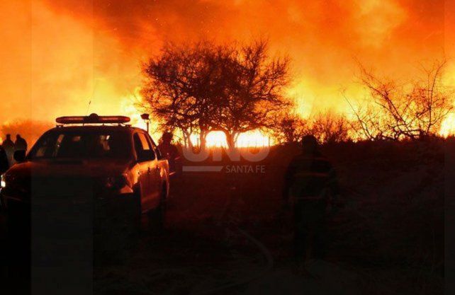 El proyecto busca que los delitos ambientales tengan un fuero especial para su investigación.