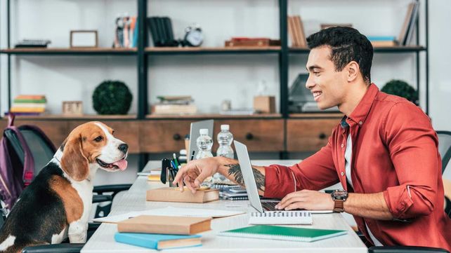 Los empleados de la reconocida empresa de ollas Essen pueden llevar sus mascotas a la oficina.
