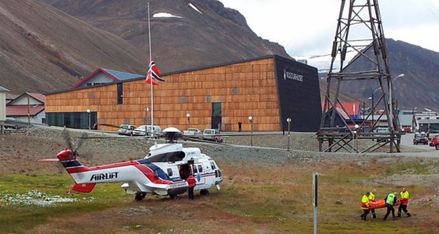 Un oso polar mat&oacute; a un turista brit&aacute;nico e hiri&oacute; a otros en Noruega