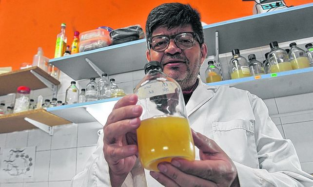 en sus manos. Roberto Grau es el director que lideró el equipo de investigación.