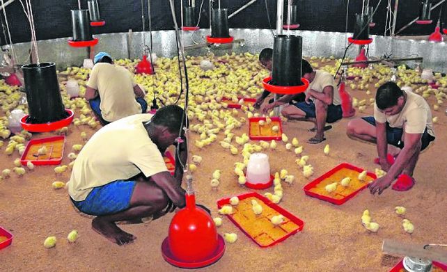 Panamá. El Centro de Cumplimiento de Pacora aloja a menores y jóvenes que cometieron delitos graves. Es un centro modelo regional.