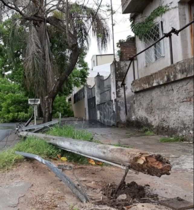 Un árbol cayó por el viento y arrastró el cableado