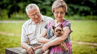 Buscan que perros y gatos puedan acompañar a adultos mayores en residencias geriátricas
