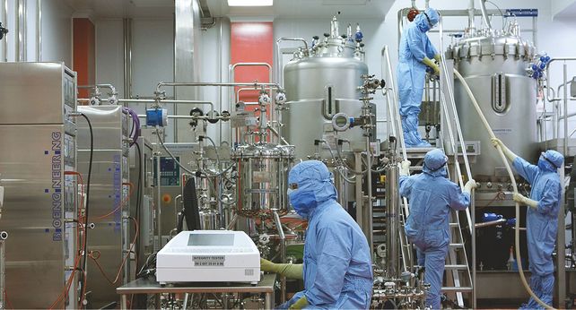 Una de las plantas de fabricación de vacunas de Serum Institute.&nbsp;