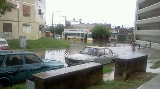 Lluvias y vientos provocaron destrozos y dejaron calles anegadas en diversos barrios