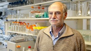 Detuvieron a delincuentes que asaltaron a un Nobel