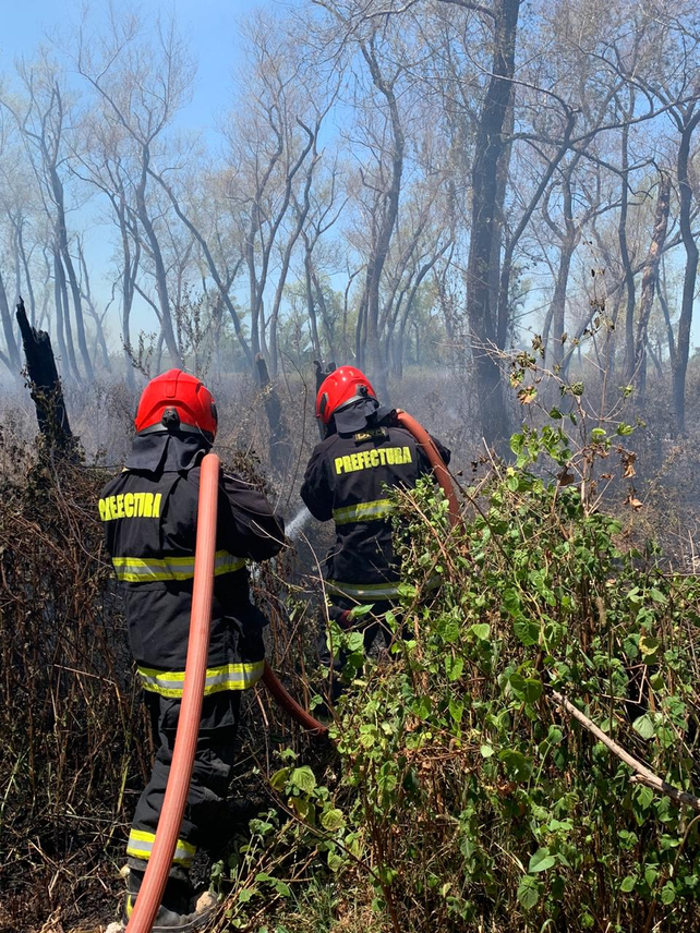Bomberos de Prefectura trabajan en la zona del banquito San Andr&eacute;s